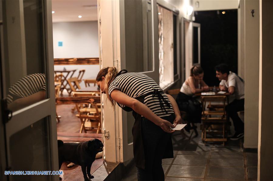 BRASIL-CURITIBA-BAR PARA PERROS