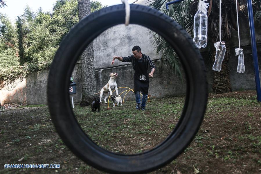 BRASIL-CURITIBA-BAR PARA PERROS