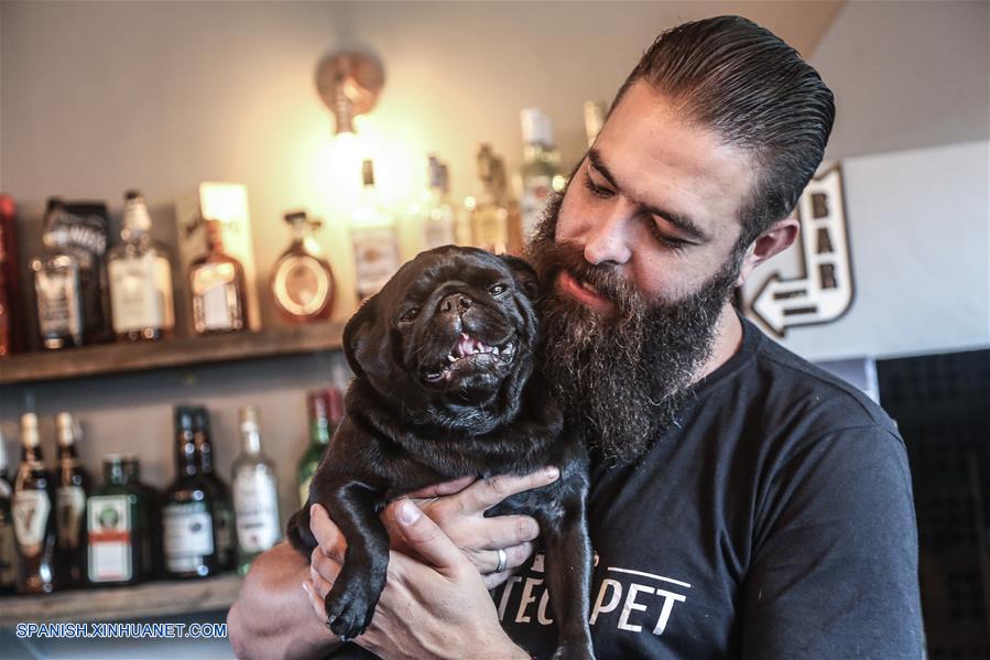 BRASIL-CURITIBA-BAR PARA PERROS