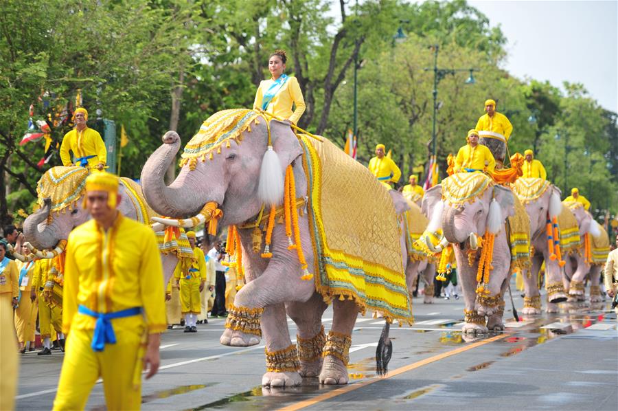 （国际）（3）泰国：“白象”巡游拜新王