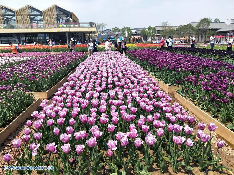 CHINA-BEIJING-EXPOSICION HORTICULTURAL-FLORES