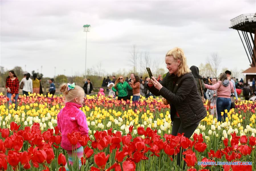 EEUU-MICHIGAN-FESTIVAL TIEMPO DE TULIPANES