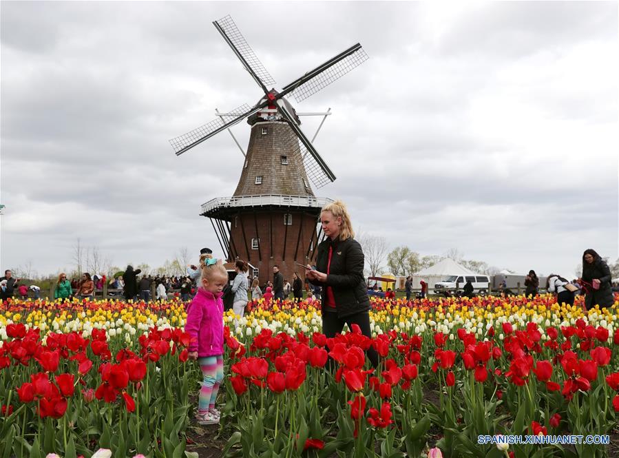 U.S.-MICHIGAN- HOLLAND-TULIP TIME FESTIVAL