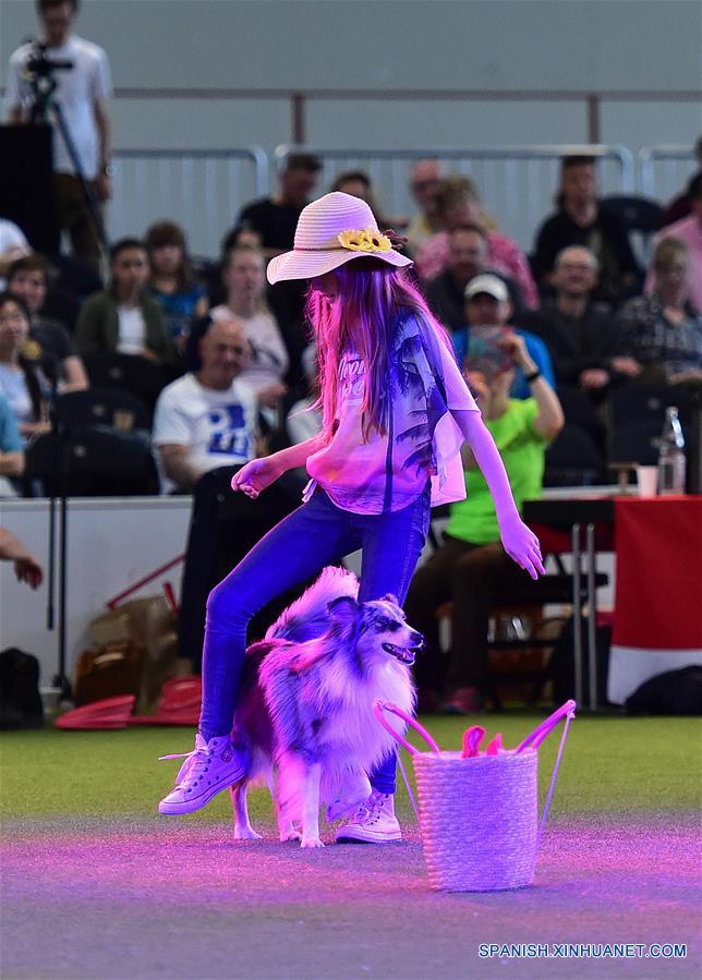 ALEMANIA-DORTMUND-EXPOSICION DE PERROS Y GATOS