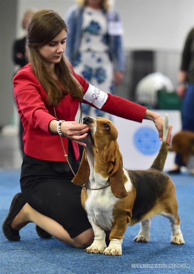 ALEMANIA-DORTMUND-EXPOSICION DE PERROS Y GATOS