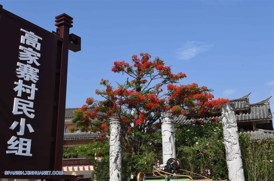CHINA-YUNNAN-FRAMBOYAN 