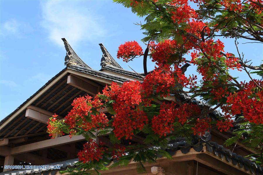 CHINA-YUNNAN-FRAMBOYAN 