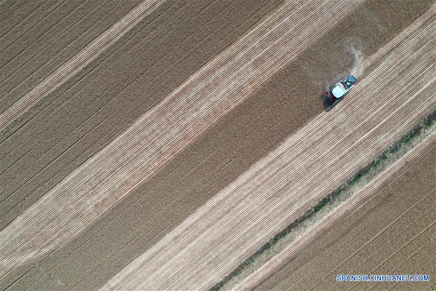 CHINA-HENAN-AGRICULTURA