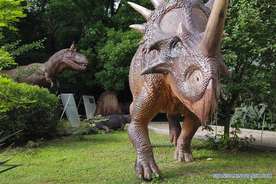 HUNGRIA-BUDAPEST-MUSEO DE HISTORIA NATURAL-ESCULTURAS DE DINOSAURIOS