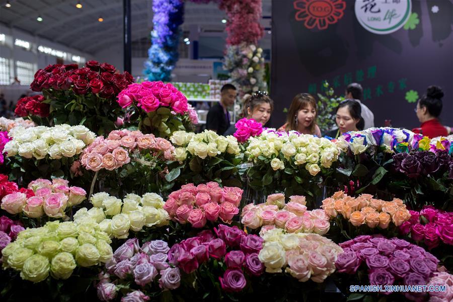 （经济）（1）第20届中国昆明国际花卉展开幕