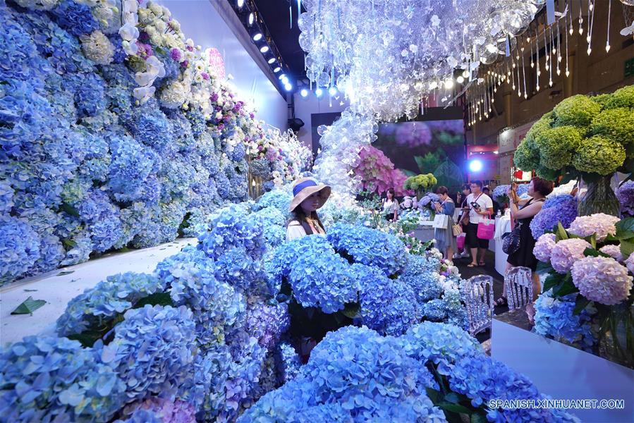 （经济）（7）第20届中国昆明国际花卉展开幕