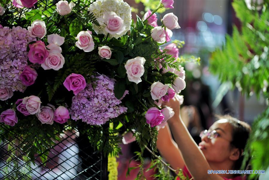 （经济）（8）第20届中国昆明国际花卉展开幕