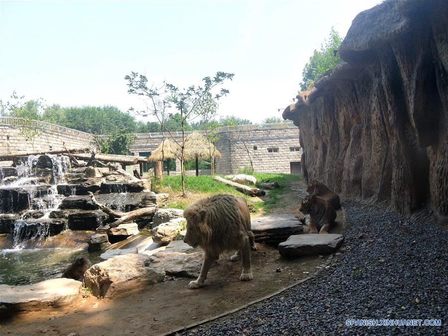 CHINA-BEIJING-VERANO
