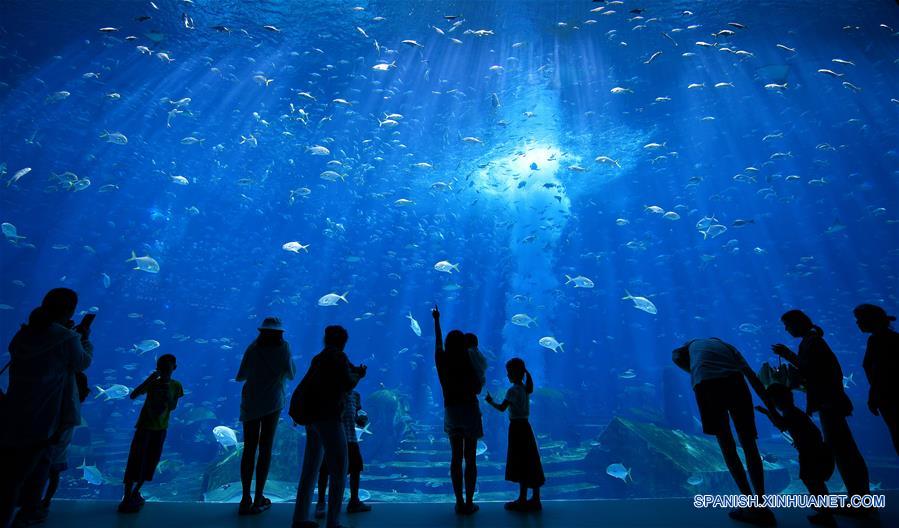 CHINA-HAINAN-EXPOSICION HORTICULTURAL-HAINAN-SERIE