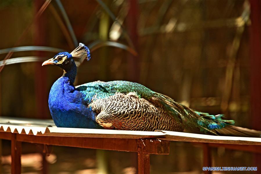 BANGLADESH-DHAKA-ZOOLOGICO