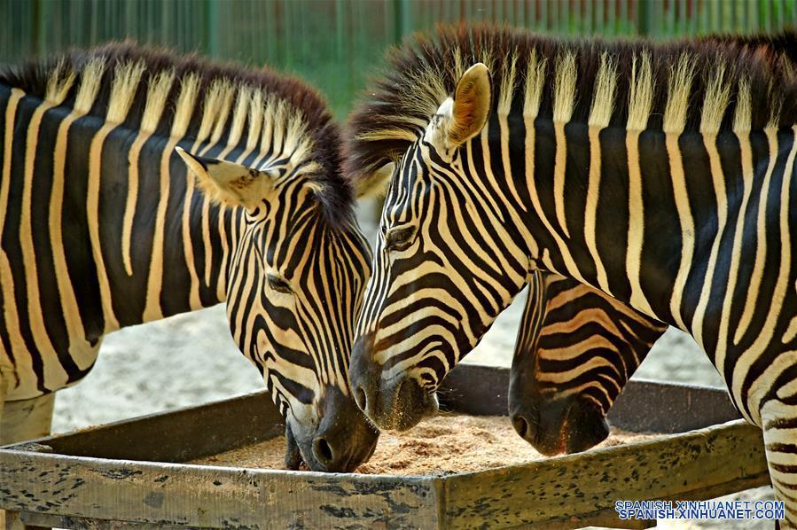 BANGLADESH-DHAKA-ZOOLOGICO