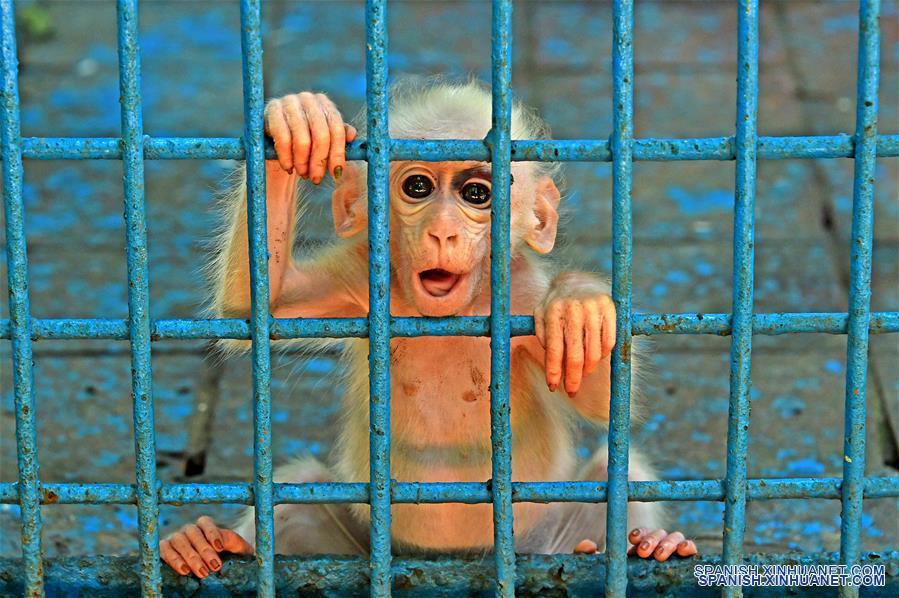 BANGLADESH-DHAKA-ZOOLOGICO