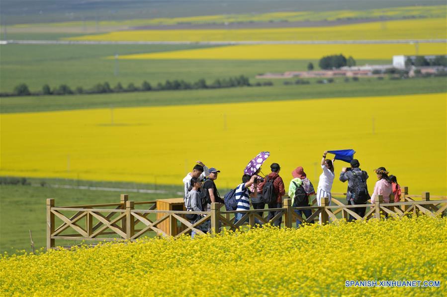 CHINA-QINGHAI-CAMPOS DE FLORES DE COLE 