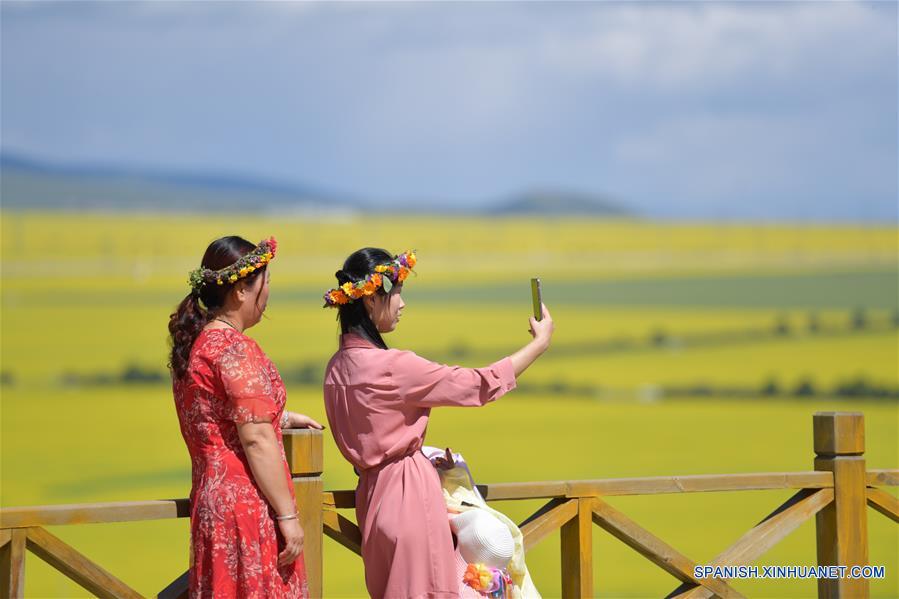 （美丽中国）（8）青海门源：油菜花开引客来