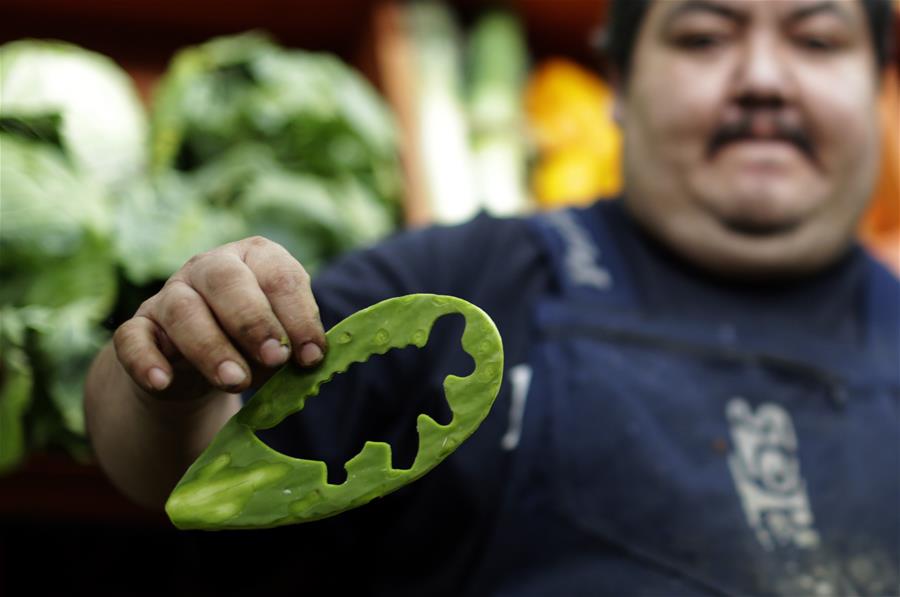 MEXICO-CIUDAD DE MEXICO-COMERCIO-BATINOPALES-SERIE