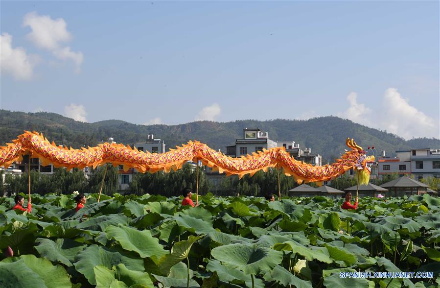 CHINA-YUNNAN-FLORES DE LOTO