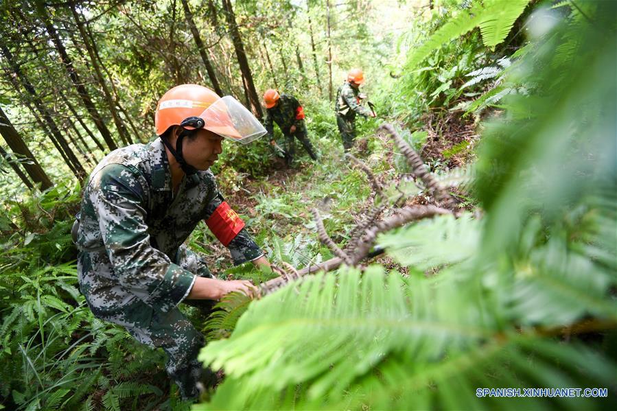 CHINA-JIANGXI-GUARDABOSQUES