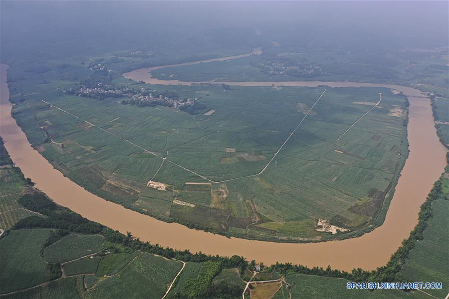 CHINA-GUANGXI-CAMPOS DE CAÑA DE AZUCAR
