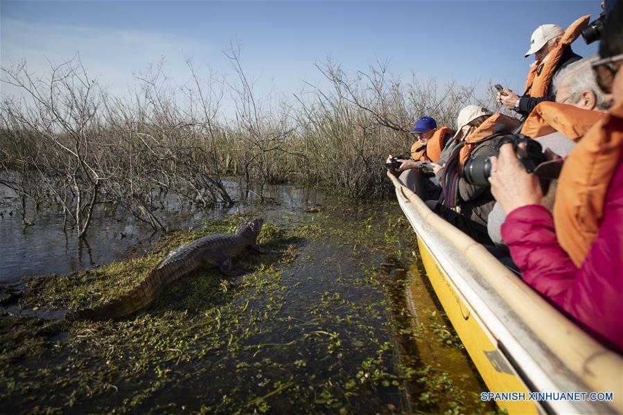 ARGENTINA-CORRIENTES-ESTEROS DEL IBERA-SERIE