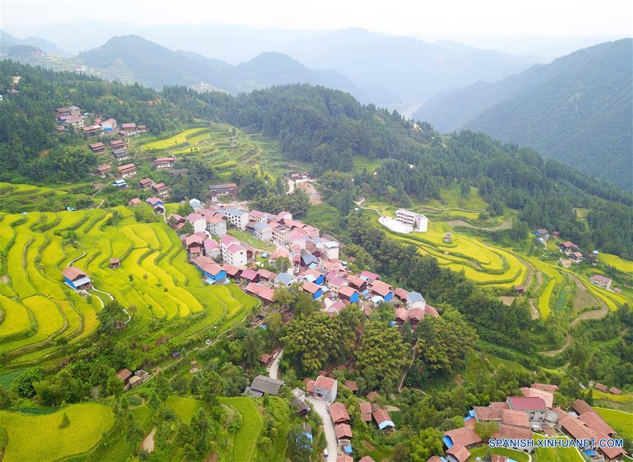 CHINA-GUIZHOU-CAMPOS DE ARROZ-TERRENO ATERRAZADO