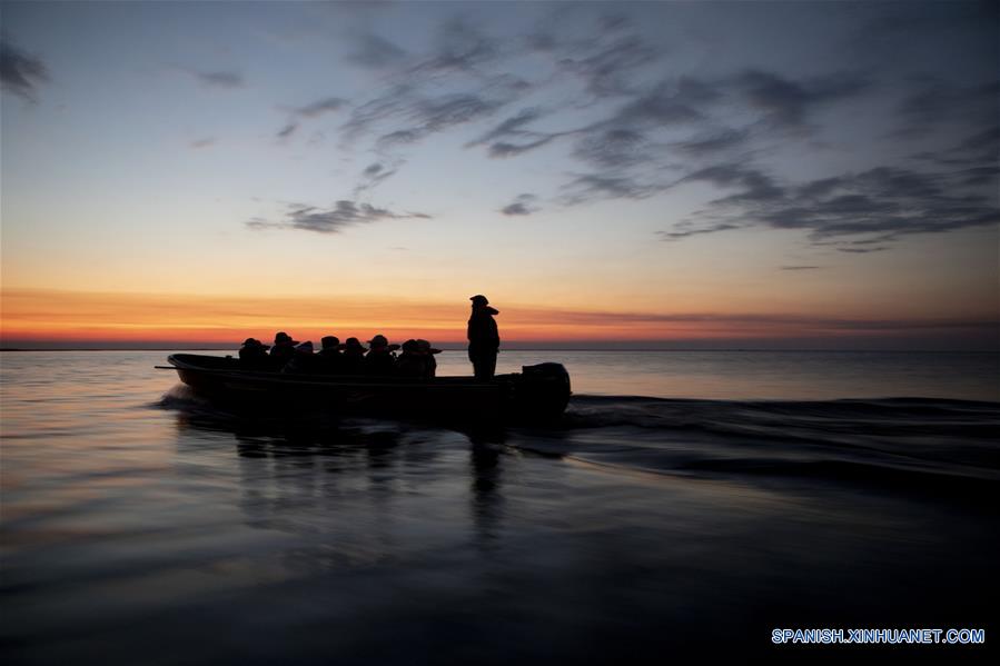 ARGENTINA-CORRIENTES-ESTEROS DEL IBERA-SERIE