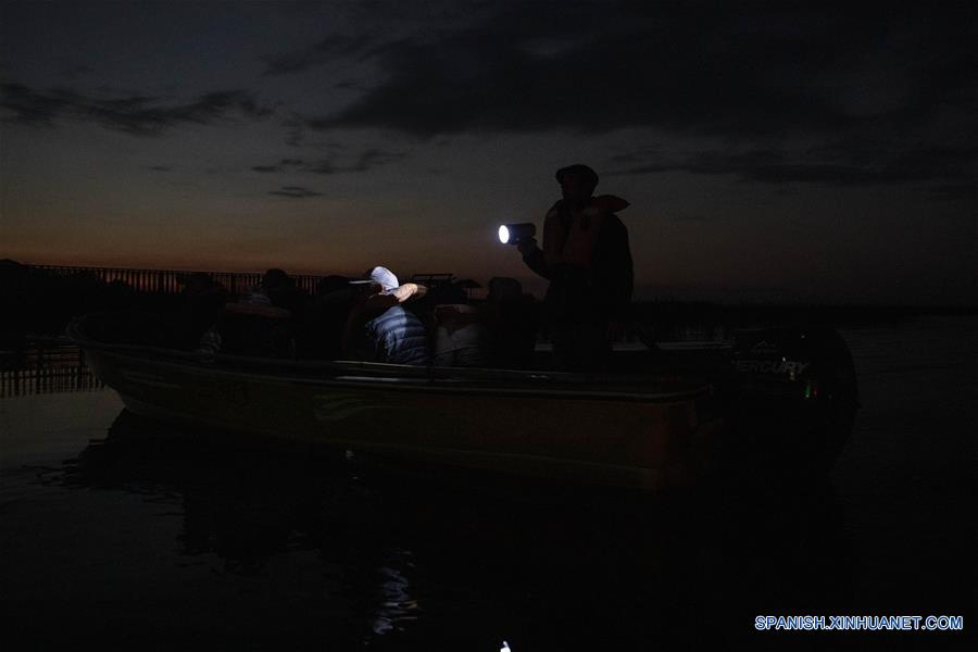 ARGENTINA-CORRIENTES-ESTEROS DEL IBERA-SERIE