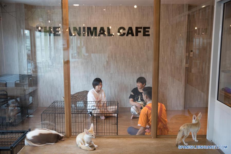 TAILANDIA-BANGKOK-ANIMAL CAFE