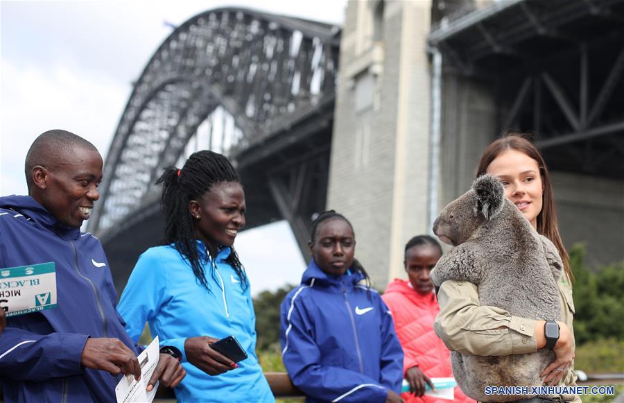 AUSTRALIA-SIDNEY-SYDNEY RUNNING FESTIVAL-KOALA