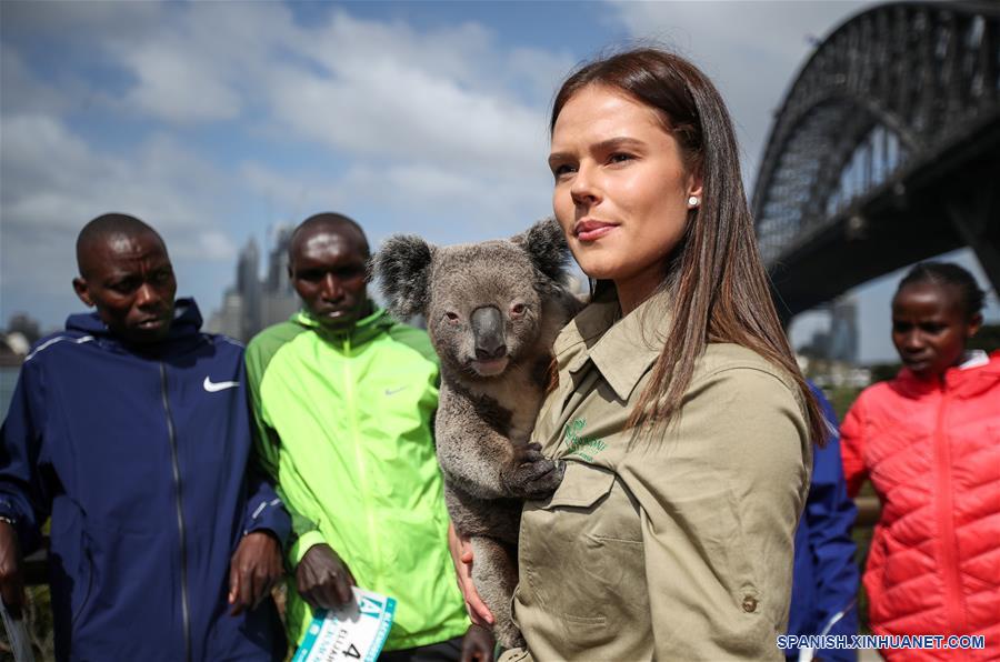 AUSTRALIA-SIDNEY-SYDNEY RUNNING FESTIVAL-KOALA