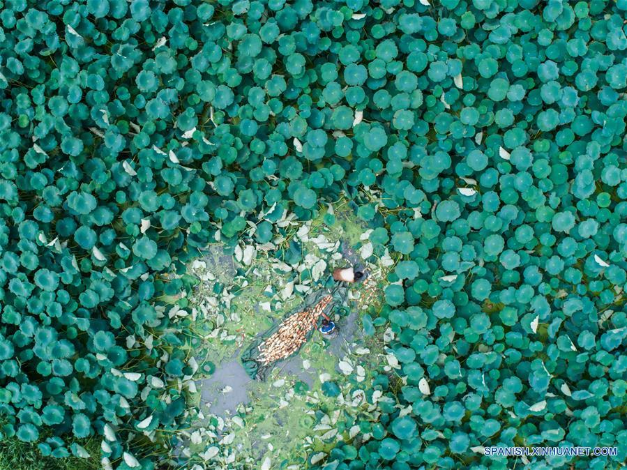 CHINA-HUZHOU-FESTIVAL DE LA COSECHA