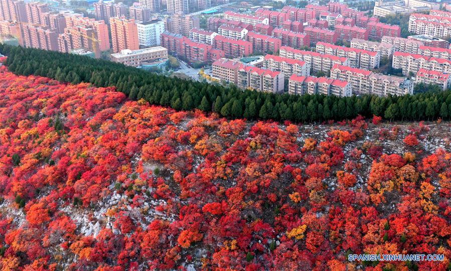 CHINA-SHANDONG-JINAN-PAISAJE DE OTOÑO