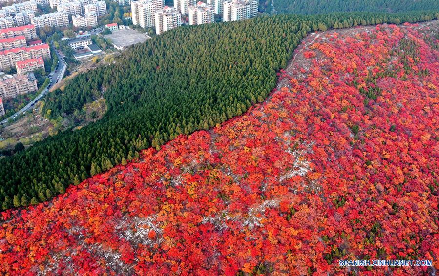 CHINA-SHANDONG-JINAN-PAISAJE DE OTOÑO