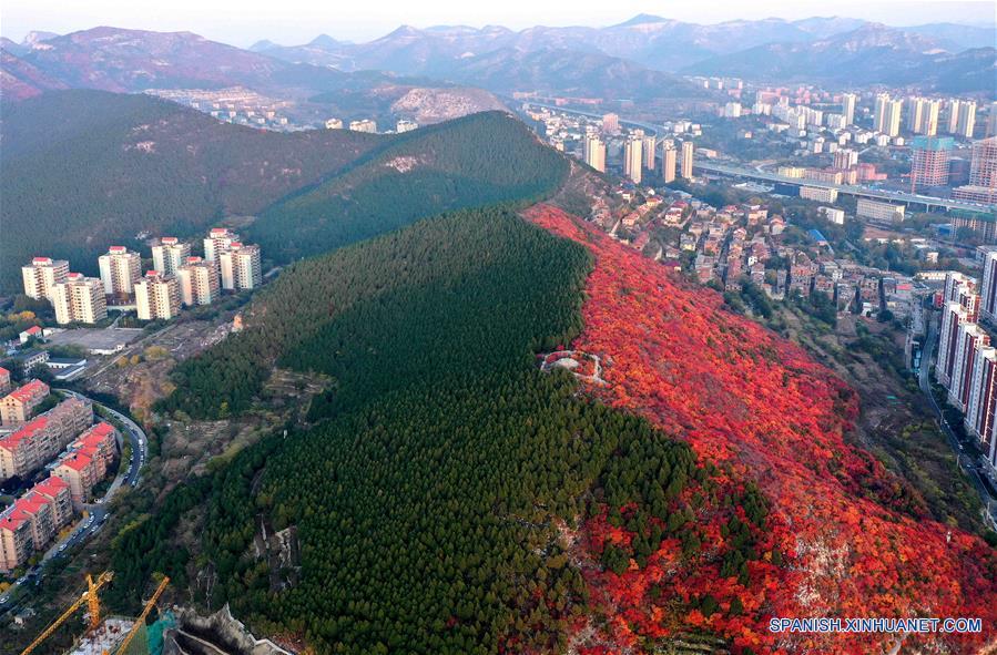 CHINA-SHANDONG-JINAN-PAISAJE DE OTOÑO