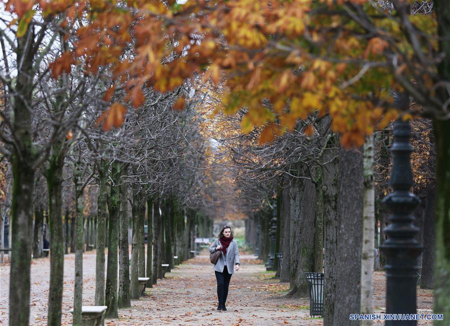 FRANCIA-PARIS-PAISAJE DE OTOÑO-SERIE