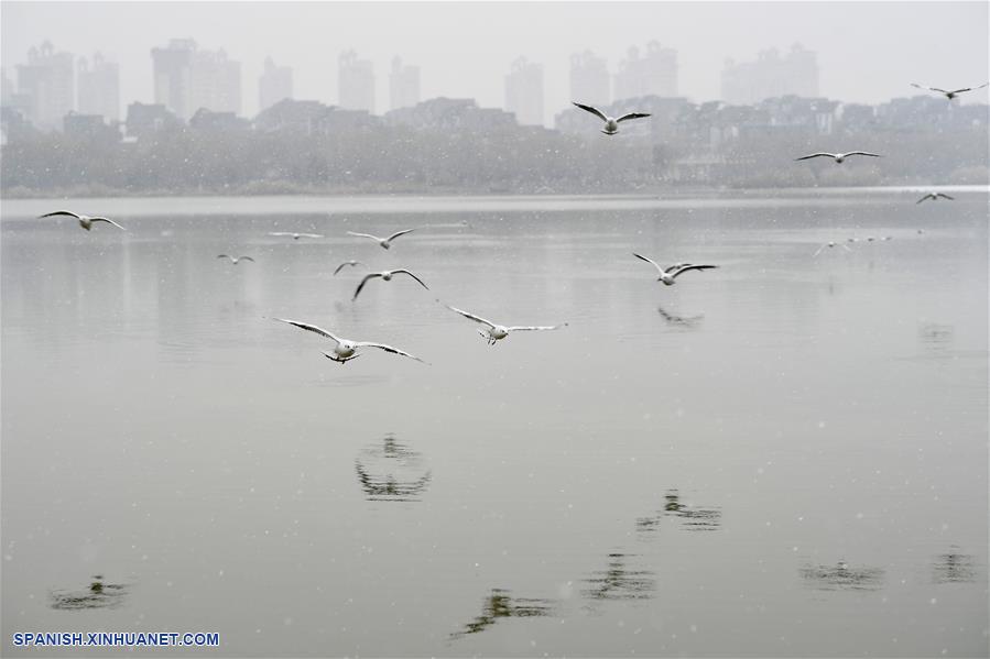 CHINA-NINGXIA-YINCHUAN-NEVADA