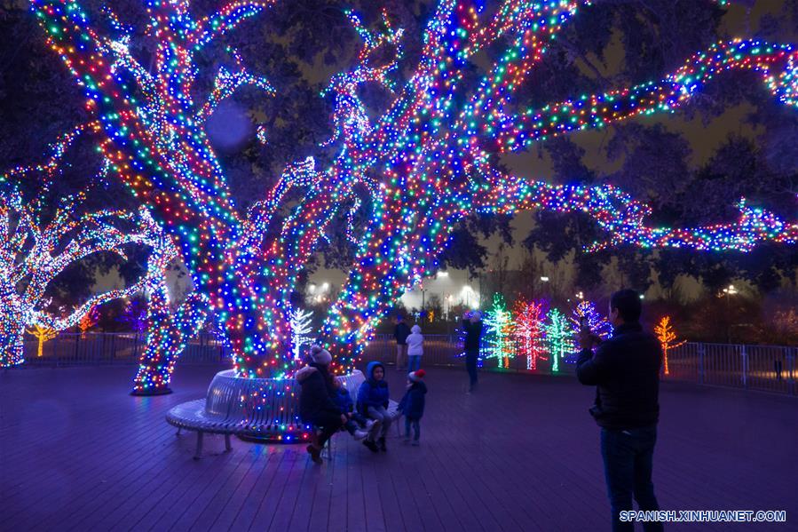 EEUU-TEXAS-DALLAS-NAVIDAD-DECORACIONES DE LUCES