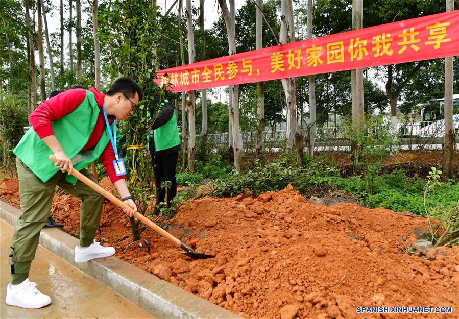 CHINA-FUJIAN-LIANJIANG-PLANTACION DE ARBOLES