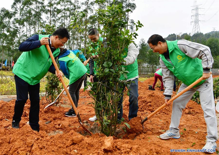 CHINA-FUJIAN-LIANJIANG-PLANTACION DE ARBOLES