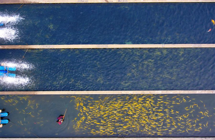 XINHUA-IMAGENES DEL A&Ntilde;O 2019-VISTA AEREA