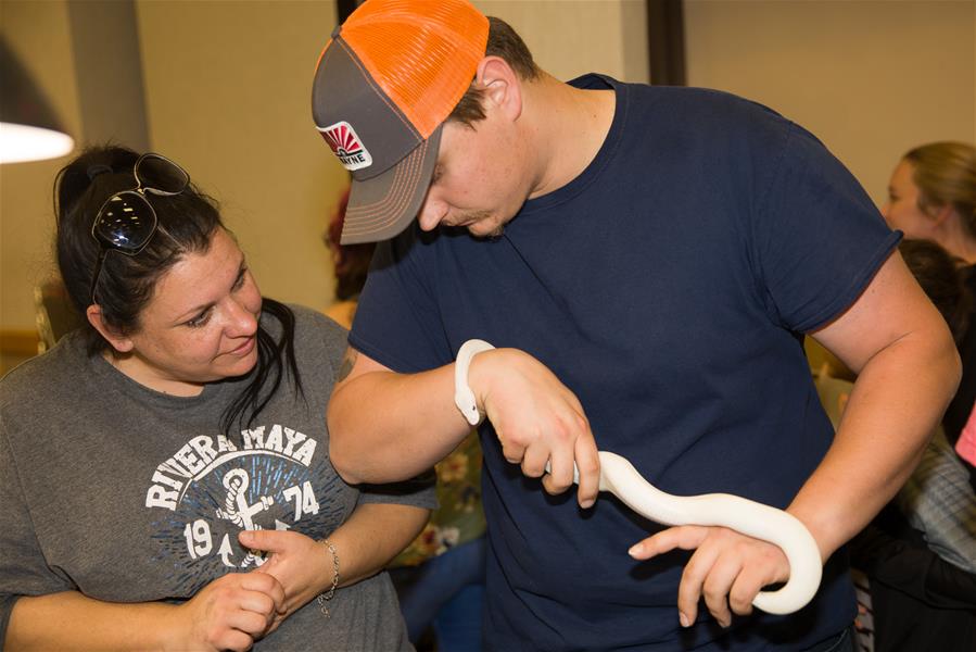 EEUU-TEXAS-DALLAS-ESPECTACULOS DE REPTILES EXOTICOS