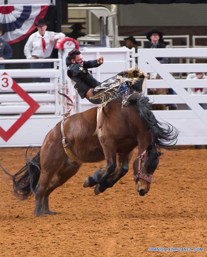 EEUU-TEXAS-FORT WORTH-FERIA DE GANADO Y RODEO