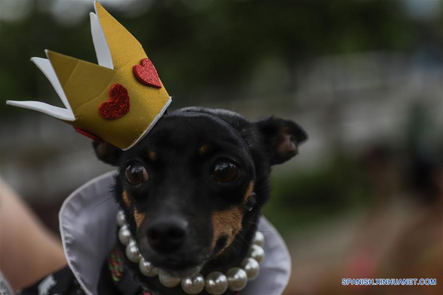 BRASIL-SAO PAULO-MASCOTAS-CARNAVAL