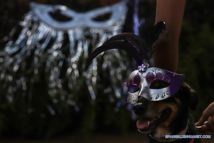 BRASIL-SAO PAULO-MASCOTAS-CARNAVAL