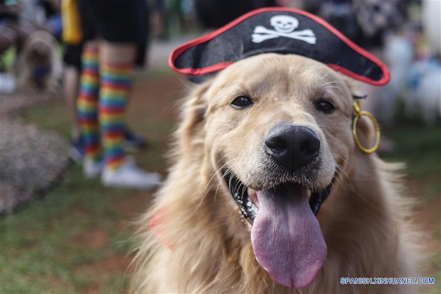 BRASIL-SAO PAULO-MASCOTAS-CARNAVAL