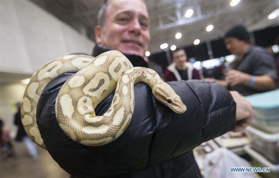 CANADA-TORONTO-EXPOSICION DE REPTILES